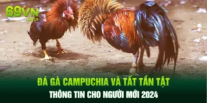 Đá Gà Campuchia Và Tất Tần Tần Thông Tin Cho Người Mới 2024