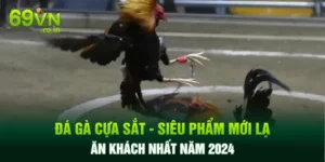 Đá Gà Cựa Sắt - Siêu Phẩm Mới Lạ Ăn Khách Nhất Năm 2024