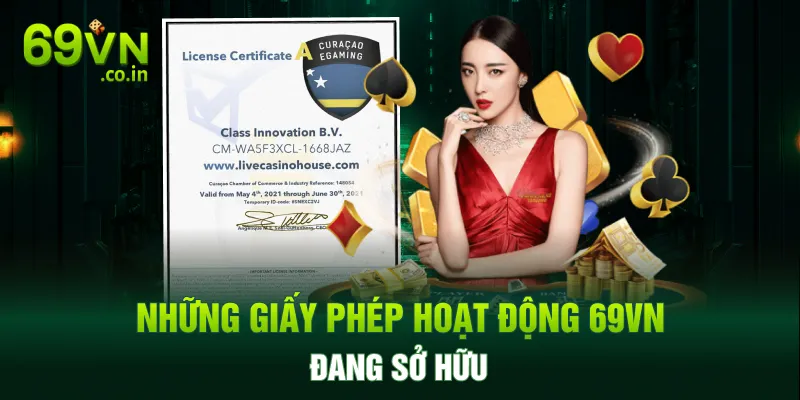 Những giấy phép hoạt động 69VN đang sở hữu